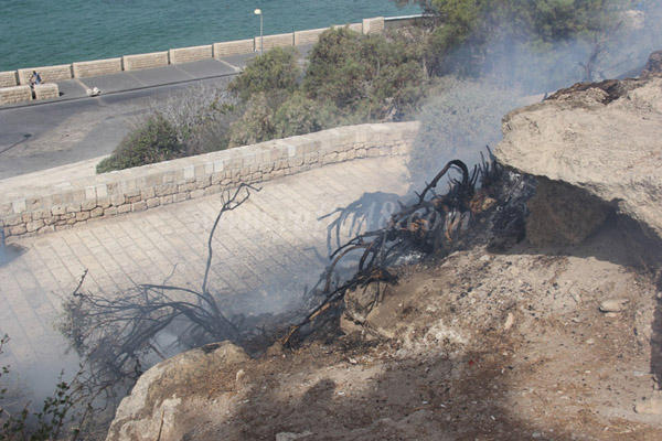 fire 7orsh js (6).JPG